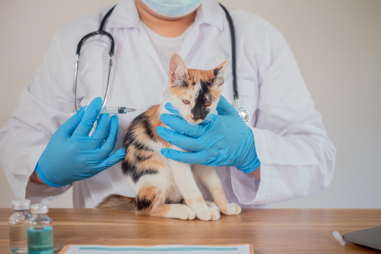 Pet IV Veteriner Kliniği - Acil Servis Hizmetleri