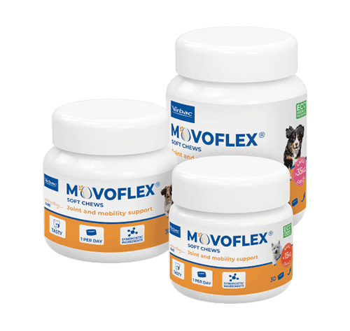 movoflex