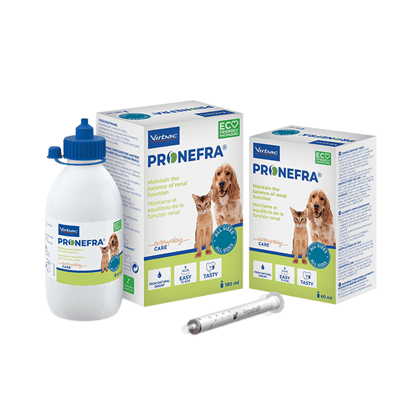 Pronefra